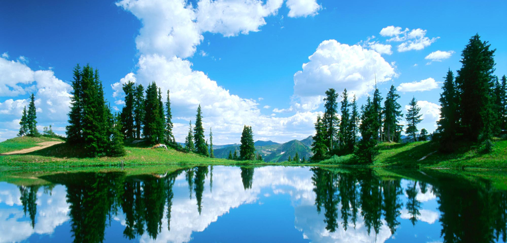 best Travel Agent in Srinagar