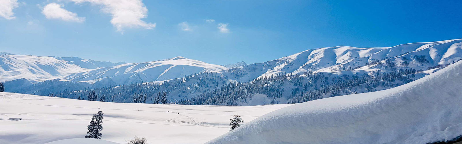Travel Agent in Srinagar