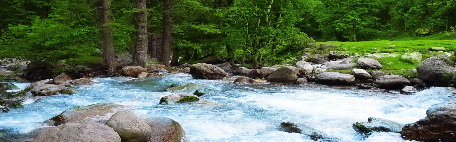 best Travel Agent in Srinagar