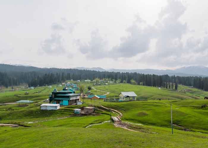 travel Agent in Srinagar