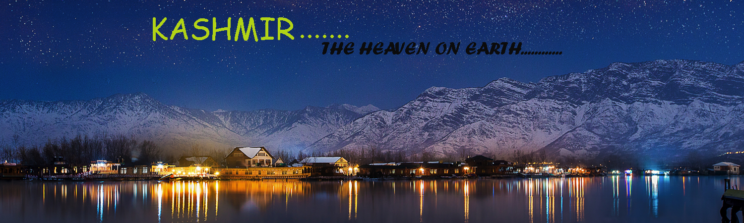 Travel Agent in Katra