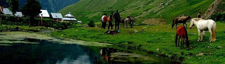 Best Travel Agency in Katra