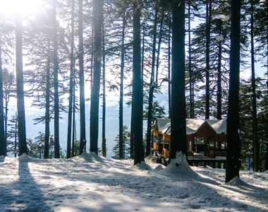 Best Travel Agents in katra