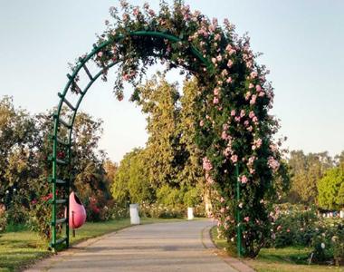 travel agent in katra