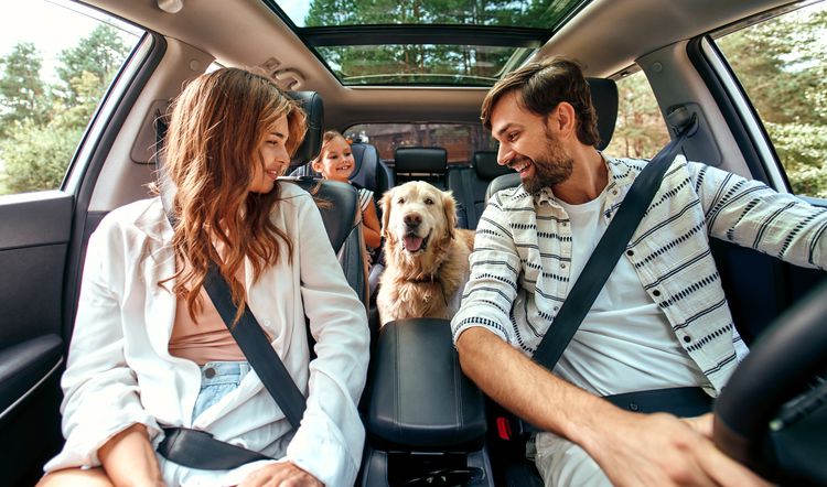 Chandigarh to Dharamshala Taxi