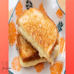 Hotel Booking in  Jammu Best Hotel in  Hotel Booking in  Jammu Best Hotel in  Jammu