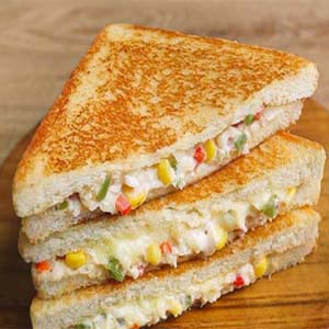 Hotel Booking in  Jammu Best Hotel in  Jammu