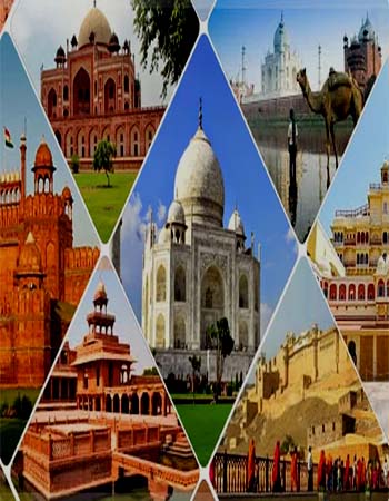 best Stay Hotels in Katra 