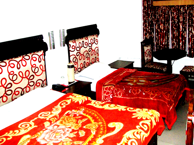 Hotel Green Hill Patnitop