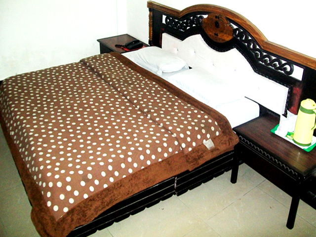 Hotel Green Hill Patnitop