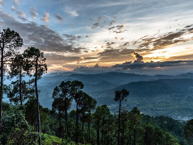 Tour and Travel katra