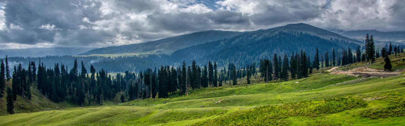 tour operator in pahalgham