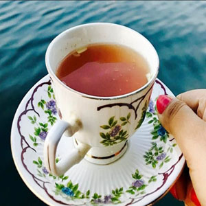 Hotel Booking in  Jammu Best Hotel in  Jammu