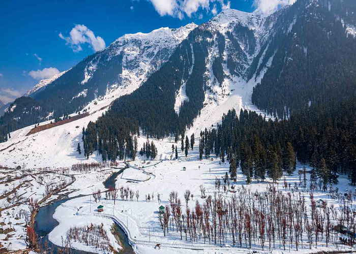 Best Tour and Travel katra